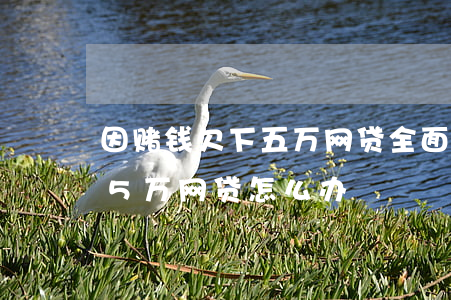 因赌钱欠下五万网贷全面逾期(网赌输了欠了5万网贷怎么办)