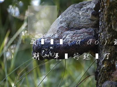 因車禍導(dǎo)致貸款逾期十年(車貸逾期一年銀行起訴了)