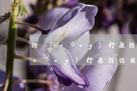 因農(nóng)行原因信用卡逾期(因農(nóng)行原因信用卡逾期怎么辦)