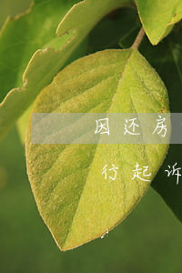 因还房贷逾期被银行起诉案例(房贷逾期被银行起诉后果)