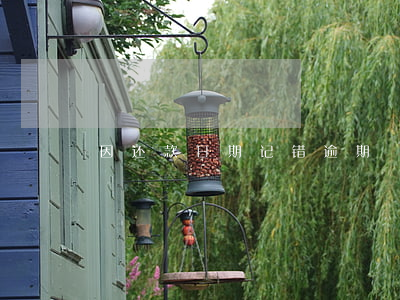 因还款日期记错逾期