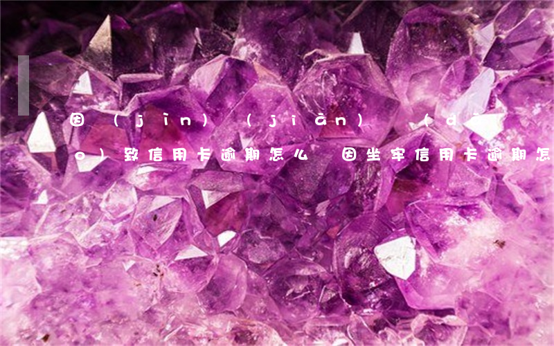因進(jìn)監(jiān)獄導(dǎo)致信用卡逾期怎么辦(因坐牢信用卡逾期怎么辦)