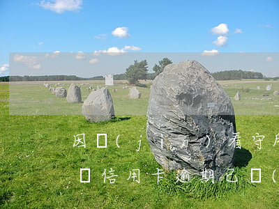 因進(jìn)看守所信用卡逾期一個月咋辦（信用卡逾期已經(jīng)被看守所拘留）