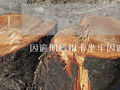 因逾期信用卡坐牢(因逾期信用卡坐牢怎么辦)