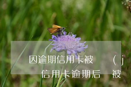 因逾期信用卡被凍結(jié)了還能解凍嗎（信用卡逾期后會被凍結(jié)房產(chǎn)嗎）