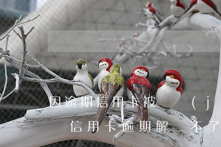 因逾期信用卡被凍結(jié)了還能解凍嗎（信用卡逾期解凍不了征信怎么辦）