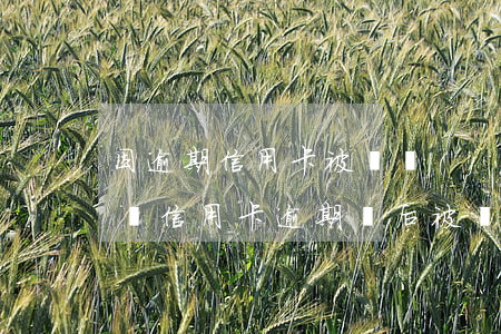 因逾期信用卡被凍結(jié)了還能解凍嗎（信用卡逾期過后被凍結(jié)了怎樣解凍）