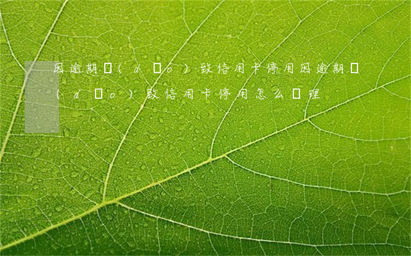 因逾期導(dǎo)致信用卡停用(因逾期導(dǎo)致信用卡停用怎么處理)