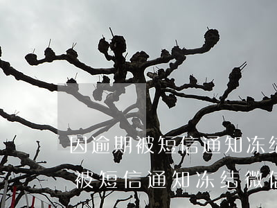 因逾期被短信通知冻结微信支付宝-因逾期被短信通知冻结微信支付宝还能用吗
