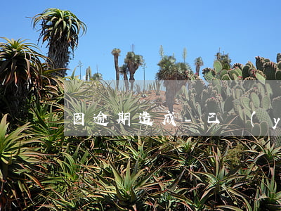 因逾期造成-已嚴(yán)重逾期