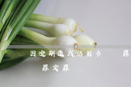 因逾期造成信用卡詐騙罪被判刑(以信用卡詐騙罪定罪處罰)