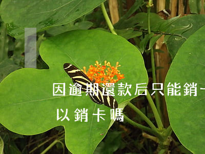 因逾期還款后只能銷卡(信用卡逾期還清后可以銷卡嗎)