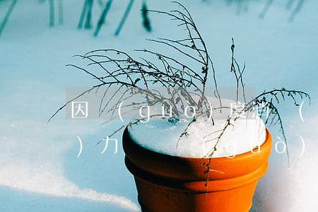 因過(guò)度消費(fèi)無(wú)力償還 過(guò)度消費(fèi)導(dǎo)致負(fù)債