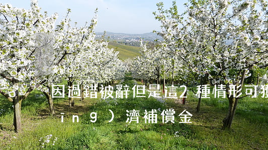 因過錯被辭，但是：這2種情形可獲二倍經(jīng)濟補償金！