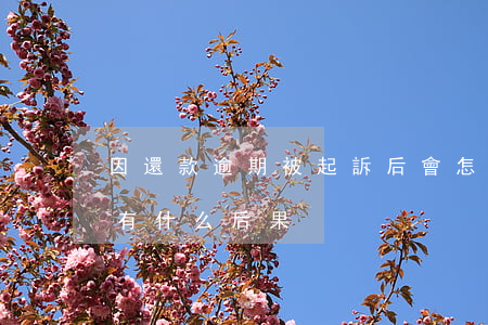 因還款逾期被起訴后會怎樣(還款逾期起訴會有什么后果)