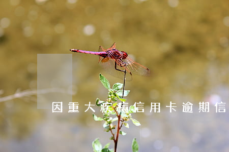 因重大疾病信用卡逾期（信用卡逾期大額存款）