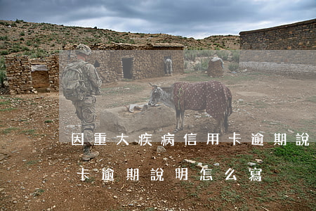 因重大疾病信用卡逾期說明(因重大疾病信用卡逾期說明怎么寫)