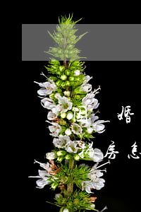 因離婚財(cái)產(chǎn)分割按揭房怎么過戶(離婚財(cái)產(chǎn)分割 房子過戶)