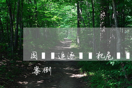 因駕車追逐競駛犯危險駕駛罪辯護(hù)案例