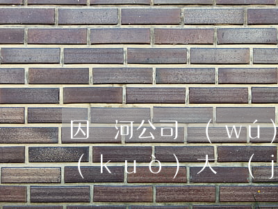 因黃河公司無(wú)力償還(黃河公司為擴(kuò)大經(jīng)營(yíng)規(guī)模融資租入一臺(tái)機(jī)器)