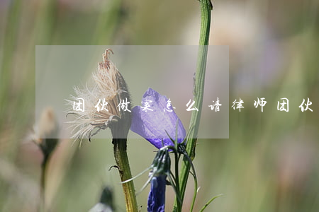 团伙做案怎么请律师(团伙做案怎么请律师)