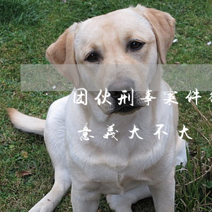 团伙刑事案件律师作用不大(团伙案件请律师意义大不大)