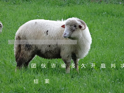 团伙诈骗多久开庭判决(团伙诈骗一般多久会结案)