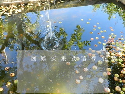 团购买家要留存小票