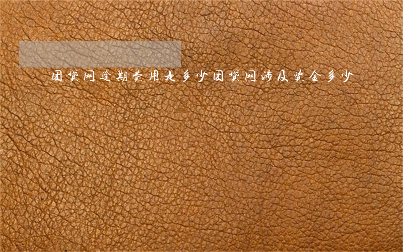 团贷网逾期费用是多少(团贷网涉及资金多少)