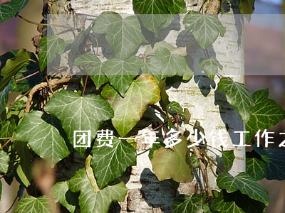 团费一年多少钱(工作之后团费一年多少钱)