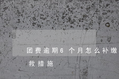 团费逾期6个月怎么补缴(六个月没交团费 补救措施)