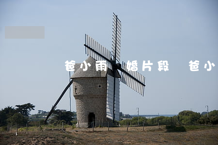 囧爸小雨離婚片段(囧爸小雨離婚片段)