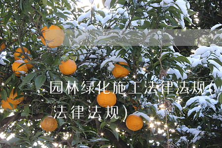 园林绿化施工法律法规(关于园林的有哪些法律法规)