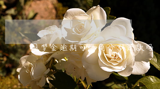 园梦金逾期可协商分期还款吗
