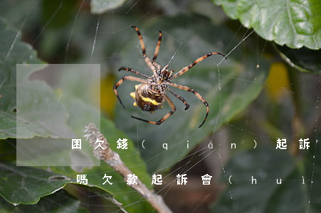 困欠錢(qián)起訴會(huì)坐牢嗎(欠款起訴會(huì)坐牢嗎)