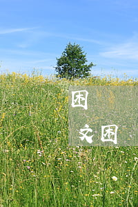困難職工申請(qǐng)書(shū)范文(困難職工申請(qǐng)書(shū)范文精選)