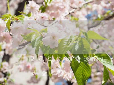 固原征信逾期恢復(fù)公司(固原哪里可以查征信)