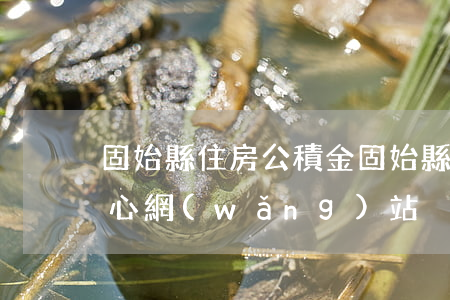 固始縣住房公積金(固始縣住房公積金管理中心網(wǎng)站)