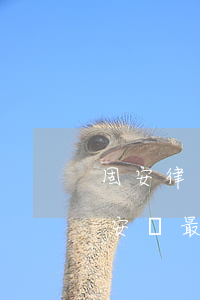 固安律師事務(wù)所哪個(gè)好(固安縣最有名的律師事務(wù)所)
