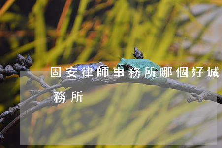 固安律師事務所哪個好(城固有哪幾家律師事務所)