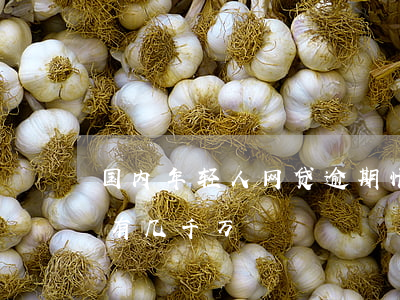 国内年轻人网贷逾期情况(全国网贷逾期人数有几千万)