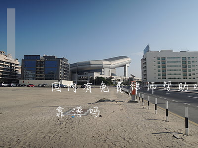 国内有免费律师帮助吗(网上的免费律师咨询靠谱吗)