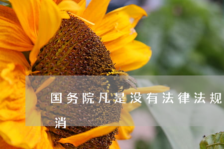 国务院：凡是没有法律法规依据的证明一律取消