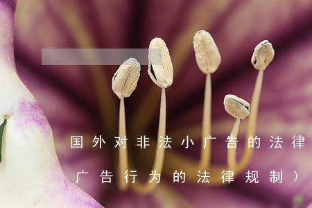 国外对非法小广告的法律法规(国外对虚假广告行为的法律规制)
