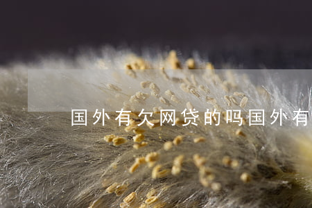 国外有欠网贷的吗(国外有欠网贷的吗)