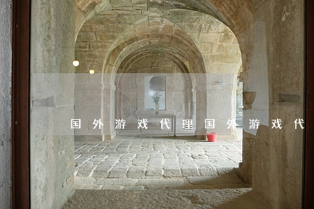 国外游戏代理(国外游戏代理费)