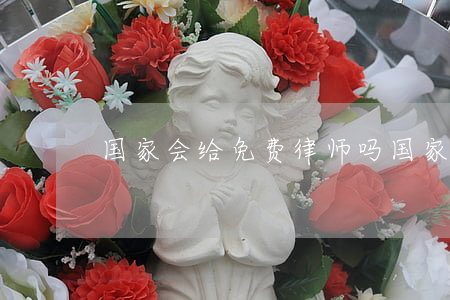 国家会给免费律师吗(国家有免费律师吗)