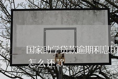 国家助学贷款逾期利息(国家助学贷款逾期了怎么还款)