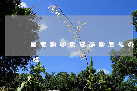 国家期间房贷逾期怎么办(房贷逾期能不能消除)