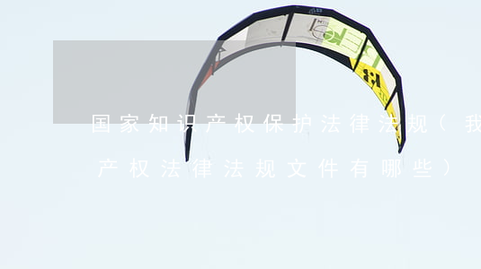 国家知识产权保护法律法规(我国保护知识产权法律法规文件有哪些)